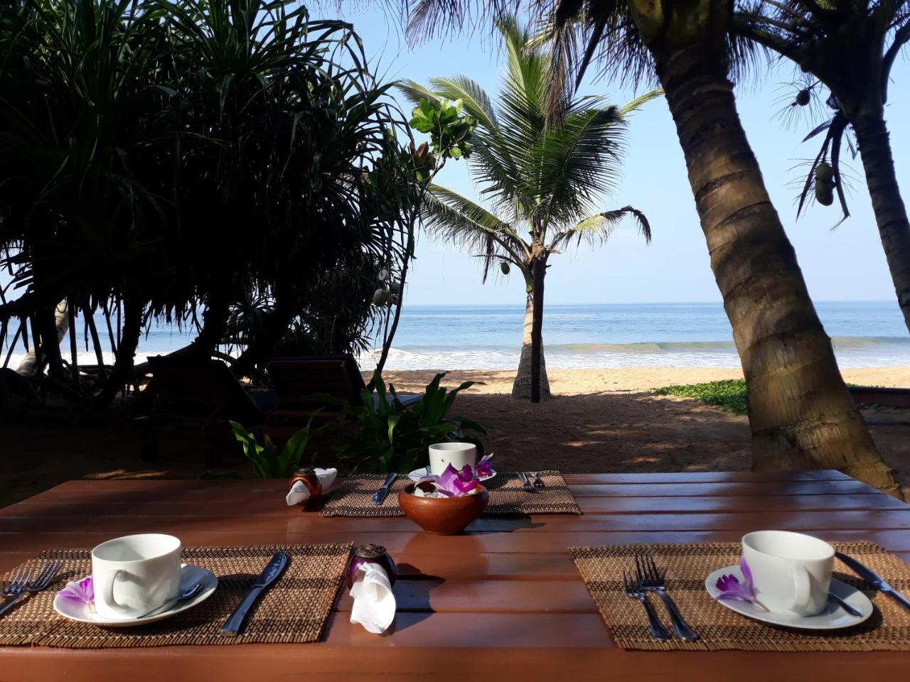 Arcade Beach Hotel Bentota Luaran gambar